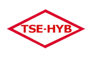 TSE